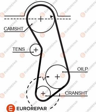 EUROREPAR 1633136980 - Зубчатый ремень ГРМ autospares.lv