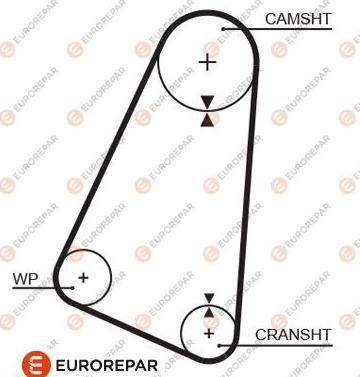 EUROREPAR 1633136280 - Зубчатый ремень ГРМ autospares.lv