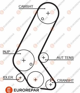 EUROREPAR 1633130880 - Зубчатый ремень ГРМ autospares.lv