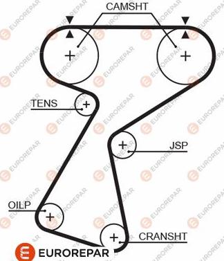 EUROREPAR 1633138180 - Зубчатый ремень ГРМ autospares.lv