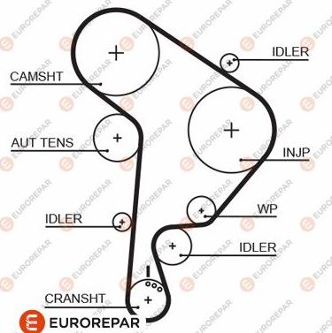 EUROREPAR 1633129480 - Зубчатый ремень ГРМ autospares.lv