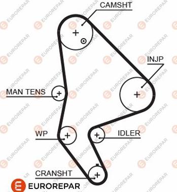 EUROREPAR 1633126480 - Зубчатый ремень ГРМ autospares.lv