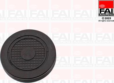 FAI AutoParts RMG880C - Заглушка, ось коромысла-монтажное отверстие autospares.lv