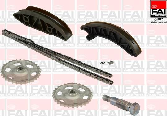 FAI AutoParts TCK235NG - Комплект цепи привода распредвала autospares.lv