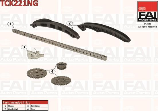 FAI AutoParts TCK221NG - Комплект цепи привода распредвала autospares.lv