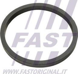 Fast FT49924 - Прокладка, масляный радиатор autospares.lv