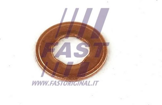 Fast FT49847 - Прокладка, держатель форсунки autospares.lv