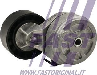 Fast FT44667 - Ролик, поликлиновый ремень autospares.lv