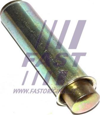 Fast FT44081 - Натяжной ролик, зубчатый ремень ГРМ autospares.lv