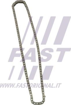 Fast FT41808 - Цепь привода распредвала autospares.lv