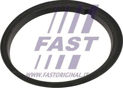 Fast FT48502 - Прокладка, датчик уровня топлива autospares.lv