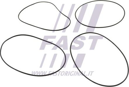 Fast FT50751 - Комплект прокладок, гильза цилиндра autospares.lv