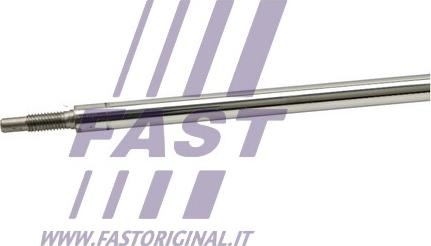 Fast FT11175 - Амортизатор autospares.lv