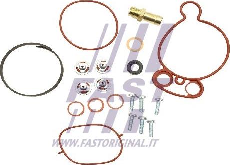 Fast FT36031 - Ремкомплект, вакуумный насос (тормозная установка) autospares.lv