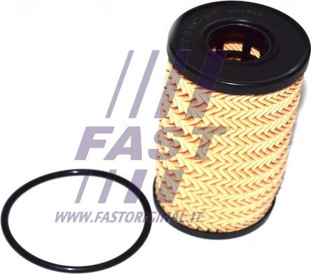 Fast FT38095 - Масляный фильтр autospares.lv