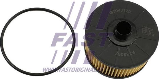 Fast FT38097 - Масляный фильтр autospares.lv