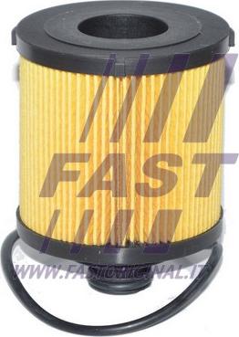 Fast FT38068 - Масляный фильтр autospares.lv