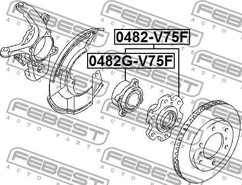 Febest 0482G-V75F - Ступица колеса, поворотный кулак autospares.lv