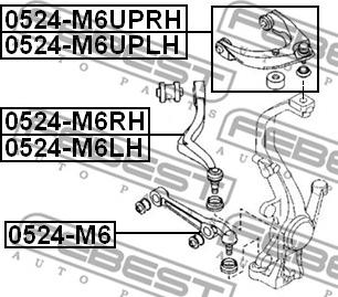 Febest 0524-M6UPLH - Рычаг подвески колеса autospares.lv