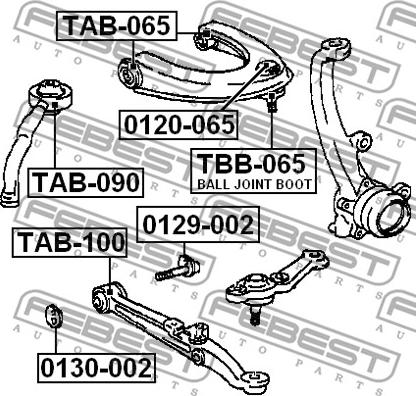 Febest 0129-002 - Болт регулировки развала колёс autospares.lv