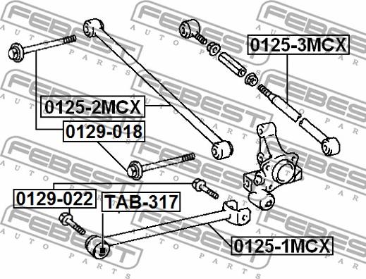 Febest 0129-018 - Болт регулировки развала колёс autospares.lv