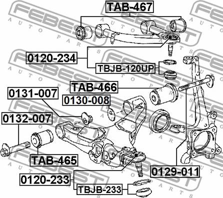 Febest 0129-011 - Болт регулировки развала колёс autospares.lv