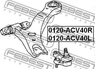 Febest 0120-ACV40L - Шаровая опора, несущий / направляющий шарнир autospares.lv