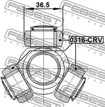 Febest 0316-CRV - Трипоид, муфта с шипами, приводной вал autospares.lv