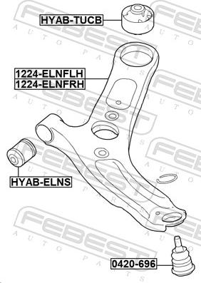 Febest 1224-ELNFRH - Рычаг подвески колеса autospares.lv