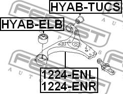 Febest 1224-ENL - Рычаг подвески колеса autospares.lv