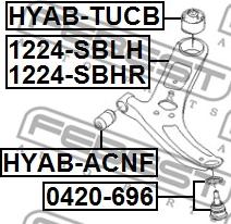 Febest 1224-SBRH - Рычаг подвески колеса autospares.lv