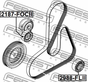 Febest 2988-FLII - Ролик, поликлиновый ремень autospares.lv