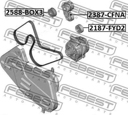 Febest 2588-BOX3 - Ролик, поликлиновый ремень autospares.lv