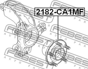 Febest 2182-CA1MF - Ступица колеса, поворотный кулак autospares.lv