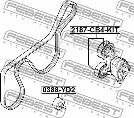 Febest 2187-CB4-KIT - Ролик, поликлиновый ремень autospares.lv