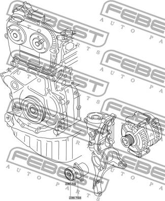 Febest 2390-TIGII - Натяжитель, поликлиновый ремень autospares.lv