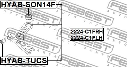 Febest 2224-C1FLH - Рычаг подвески колеса autospares.lv