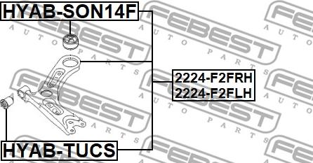 Febest 2224-F2FRH - Рычаг подвески колеса autospares.lv