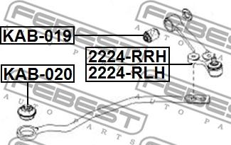 Febest 2224-RLH - Рычаг подвески колеса autospares.lv