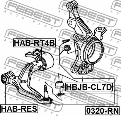 Febest HAB-RT4B - Сайлентблок, рычаг подвески колеса autospares.lv