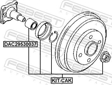 Febest KIT-CAK - Подшипник, приводной вал autospares.lv