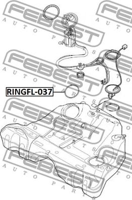 Febest RINGFL-037 - Прокладка, датчик уровня топлива autospares.lv