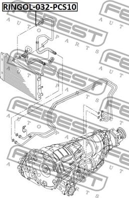 Febest RINGOL-032-PCS10 - Прокладка, масляный радиатор autospares.lv