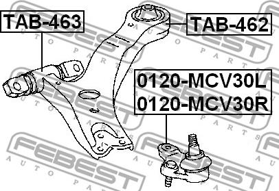 Febest TAB-462 - Сайлентблок, рычаг подвески колеса autospares.lv