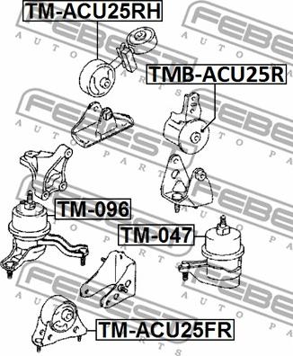 Febest TMB-GSU45RR - Подушка, опора, подвеска двигателя autospares.lv