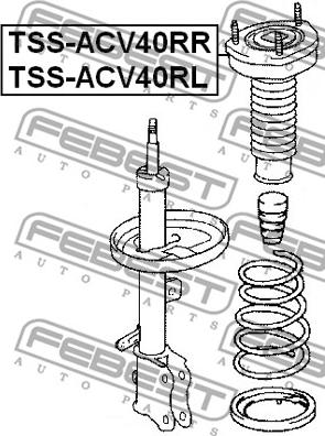 Febest TSS-ACV40RR - Опора стойки амортизатора, подушка autospares.lv