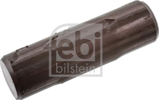 Febi Bilstein 06424 - Подпружинненый стопорный штифт, тормозная колодка autospares.lv