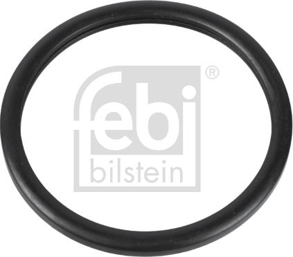 Febi Bilstein 10255 - Прокладка, термостат autospares.lv