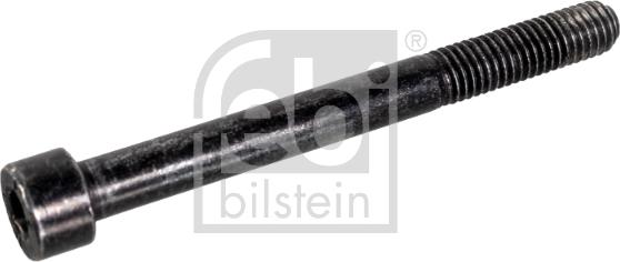 Febi Bilstein 107252 - Болт autospares.lv