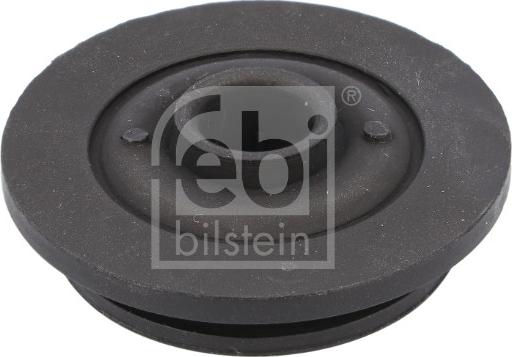 Febi Bilstein 184381 - Подвеска, радиатор autospares.lv